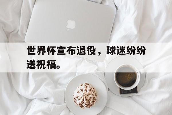 开云在线登录界面世界杯宣布退役，球迷纷纷送祝福。后缀