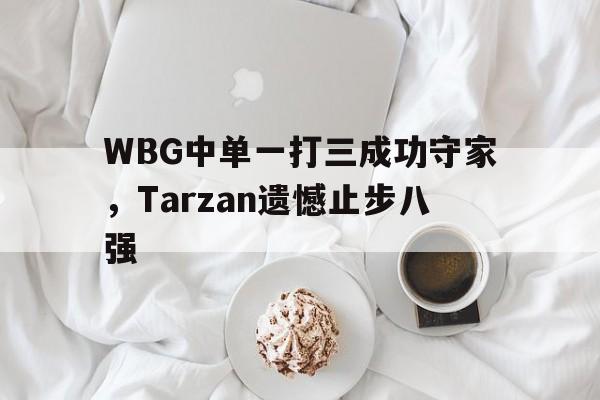 开云在线登录界面-WBG中单一打三成功守家，Tarzan遗憾止步八强