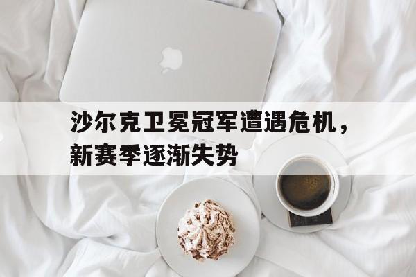 开云在线登录界面-沙尔克卫冕冠军遭遇危机，新赛季逐渐失势