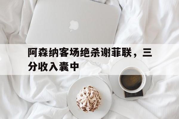开云在线登录界面-阿森纳客场绝杀谢菲联，三分收入囊中